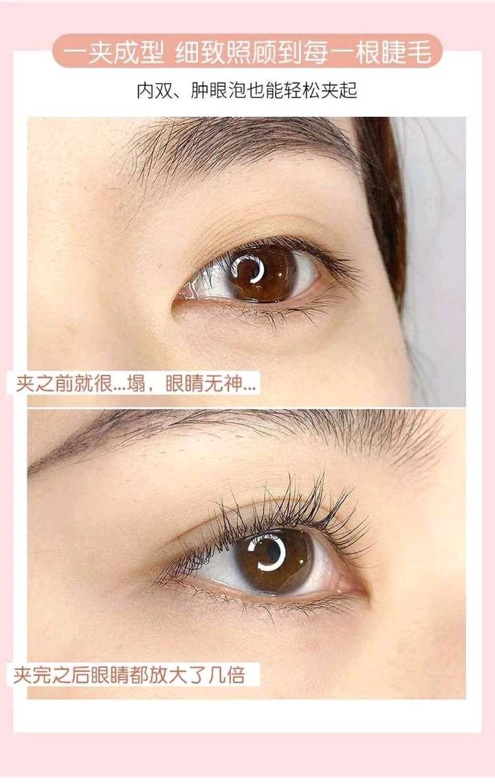Xuebei Cat Paw Eyelash Curler Set Box Portable Press Type Local Wide-angle Eyelash Curler detail image 2