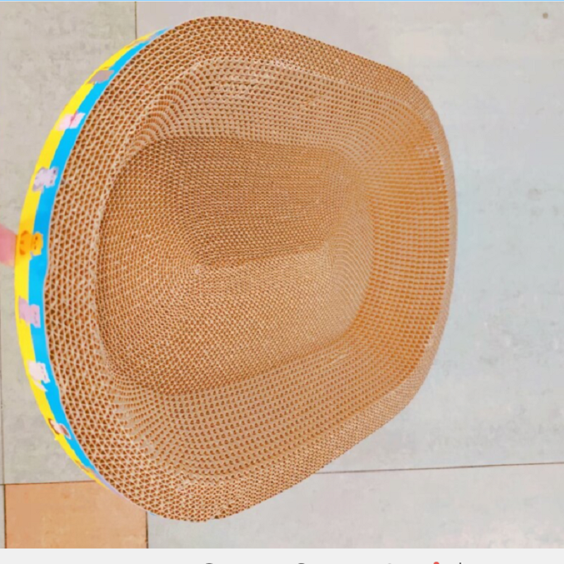 猫猫窝、笼实物图