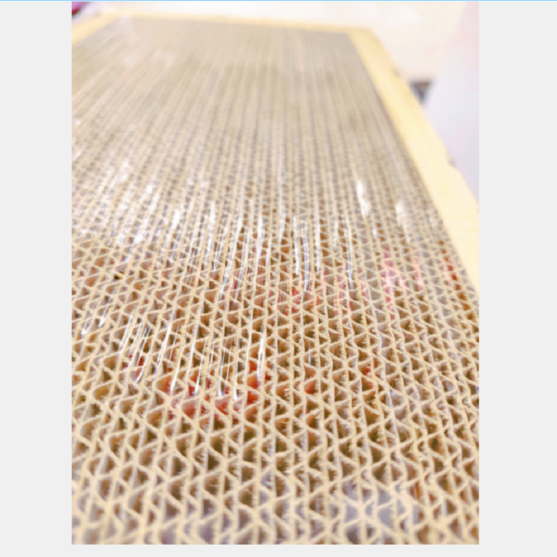 ألواح القط المسطحة التي تستخدم كطعم للفئران السنديان Item Picture