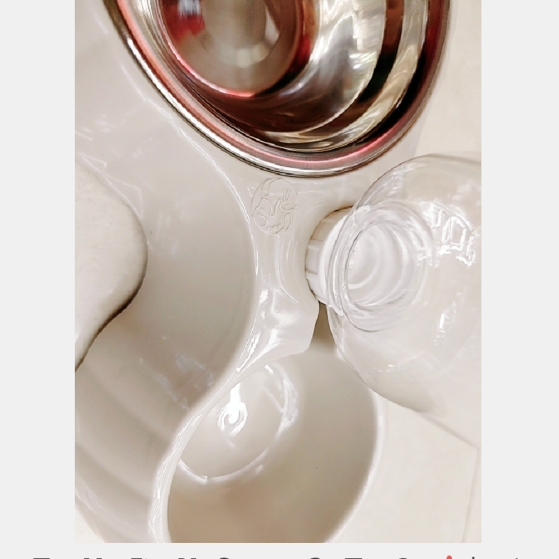 宠物喂食器/宠物喂食饮水白底实物图