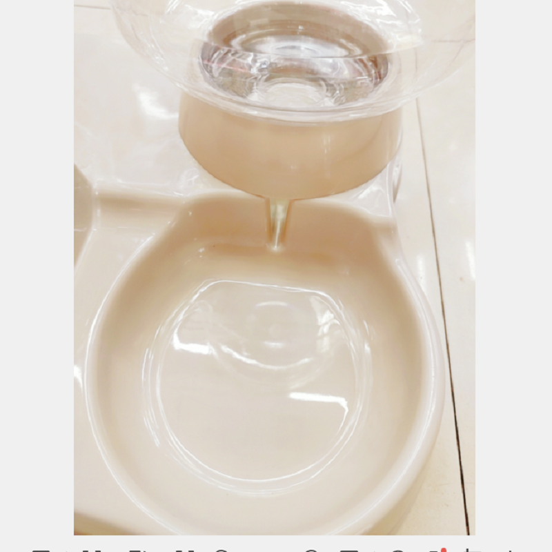 狗狗食具实物图